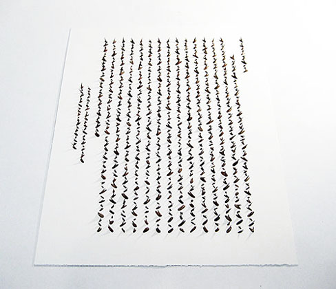 Cui Fei, Art in America