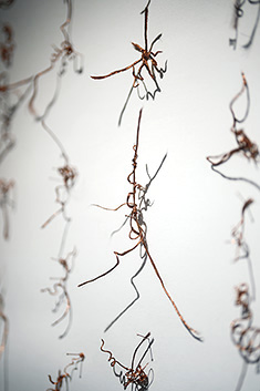 tracing 15 001 detail 1