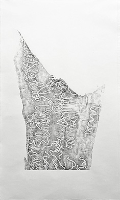 vermicular1_rubbing2