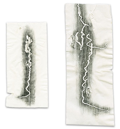 vermicular calligraphy series